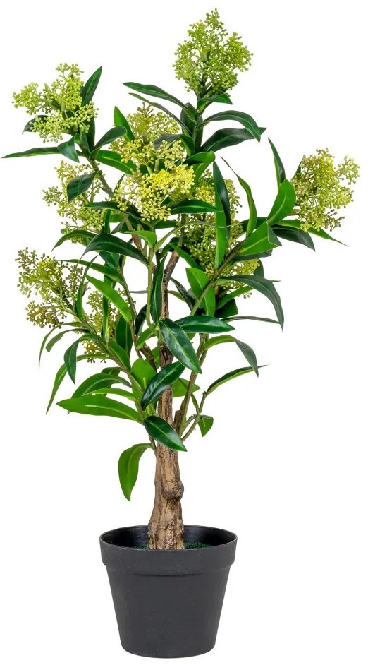 Skimmia fa műnövény, zöld 75 cm