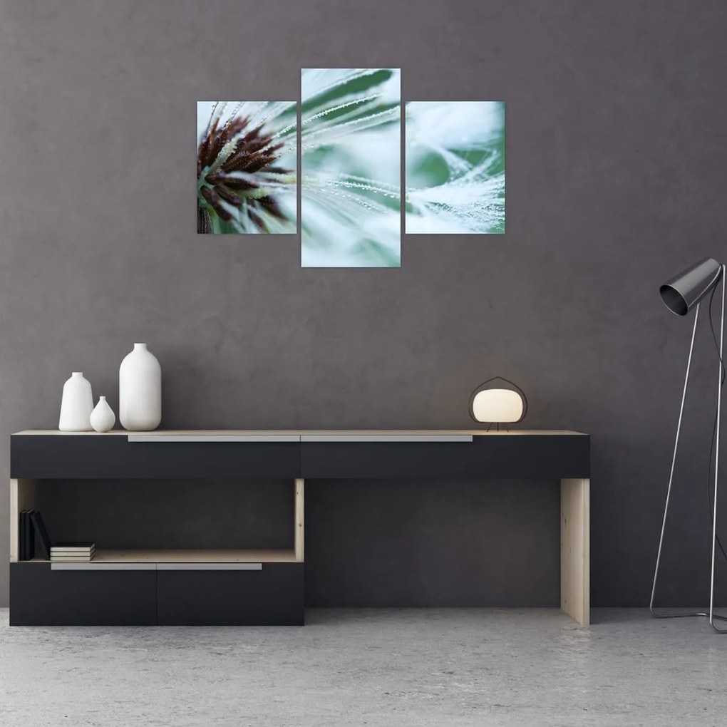 Tablou - Detaliu floare (90x60 cm)