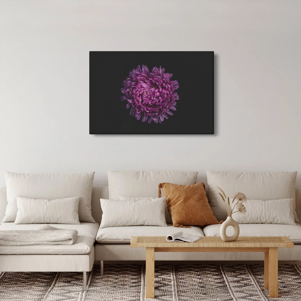 Tablou cu floare violetă (90x60 cm)