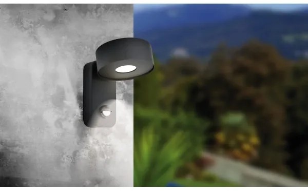 Eglo 98738 - Aplica de perete LED cu senzor PALOSCO LED/6W/230V IP44