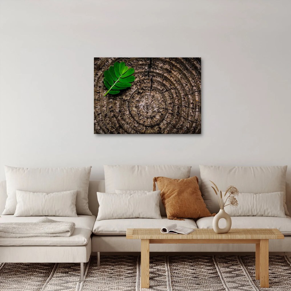 Tablou cu frunză pe trunchi de copac (70x50 cm)
