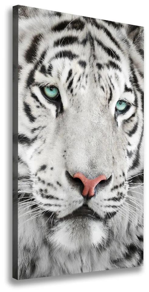 Print pe canvas Tigru alb