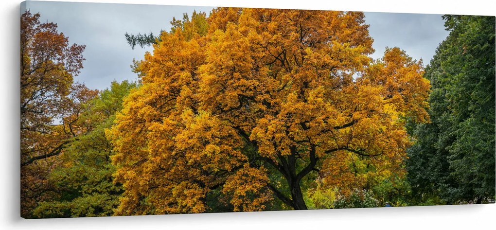 Tablou cu copac (120x50 cm)