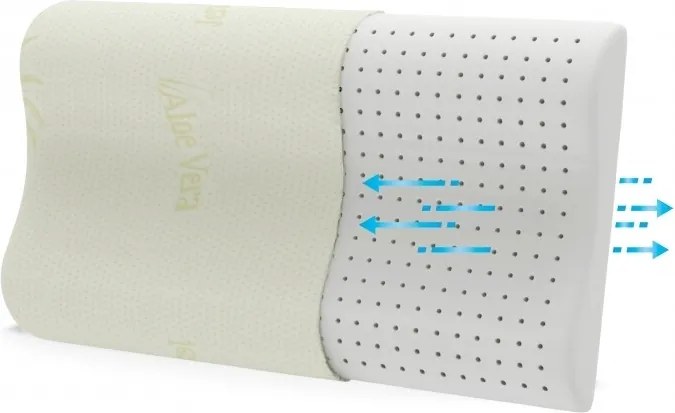 Perna Anatomica Memory  Latex Aloe Vera 40x60 cm