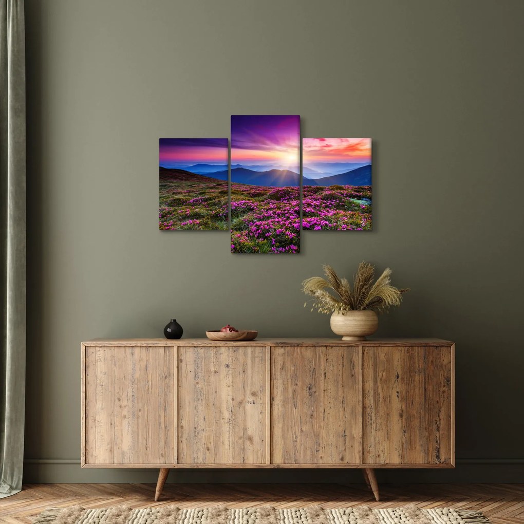 Tablou - Munte înflorit peisaj (90x60 cm)