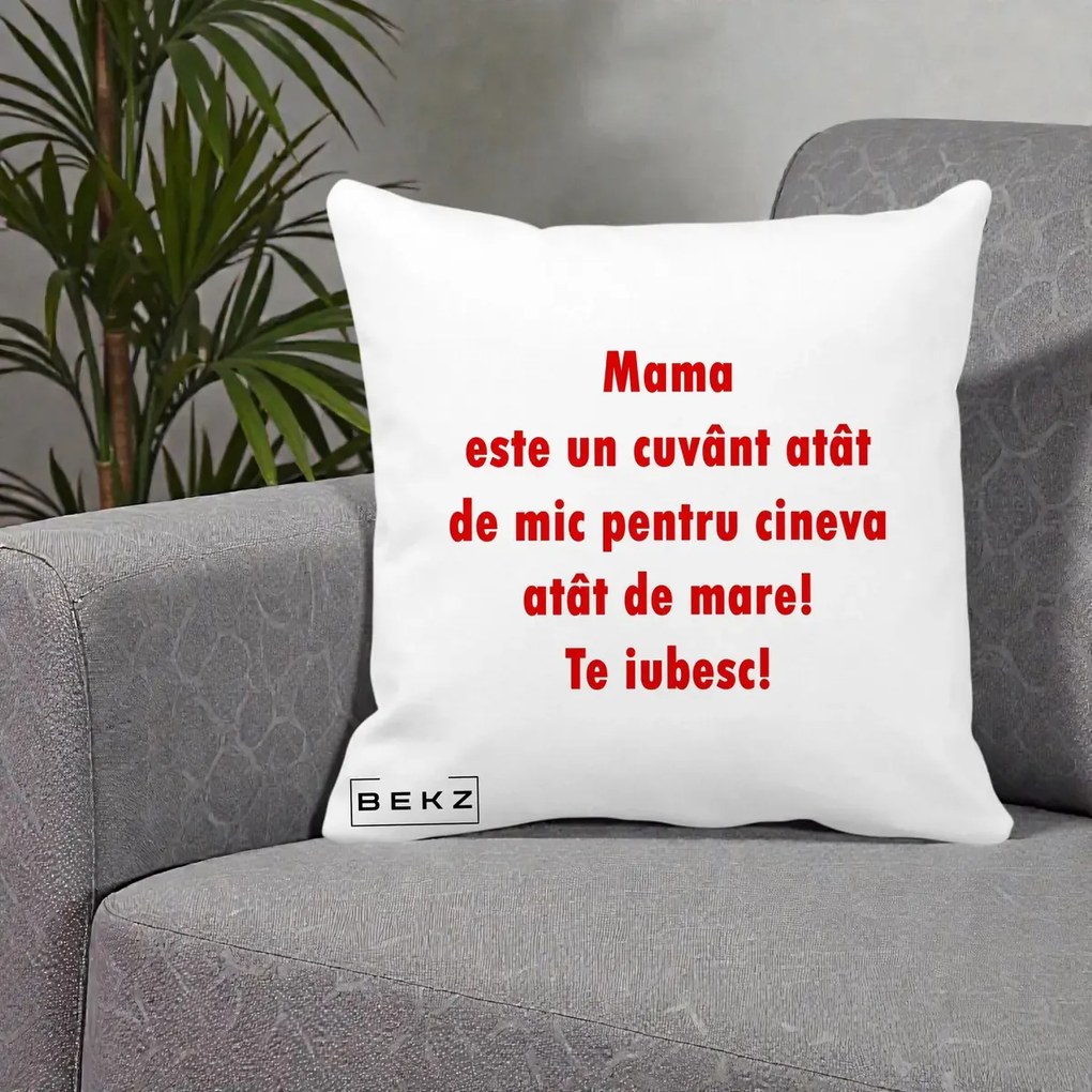 Cadou pentru Mama - Perna Personalizata Mama Cuvant Mic, 40x40 cm, Alba Mata, Husa Detasabila, Perna Inclusa, BEKZ®