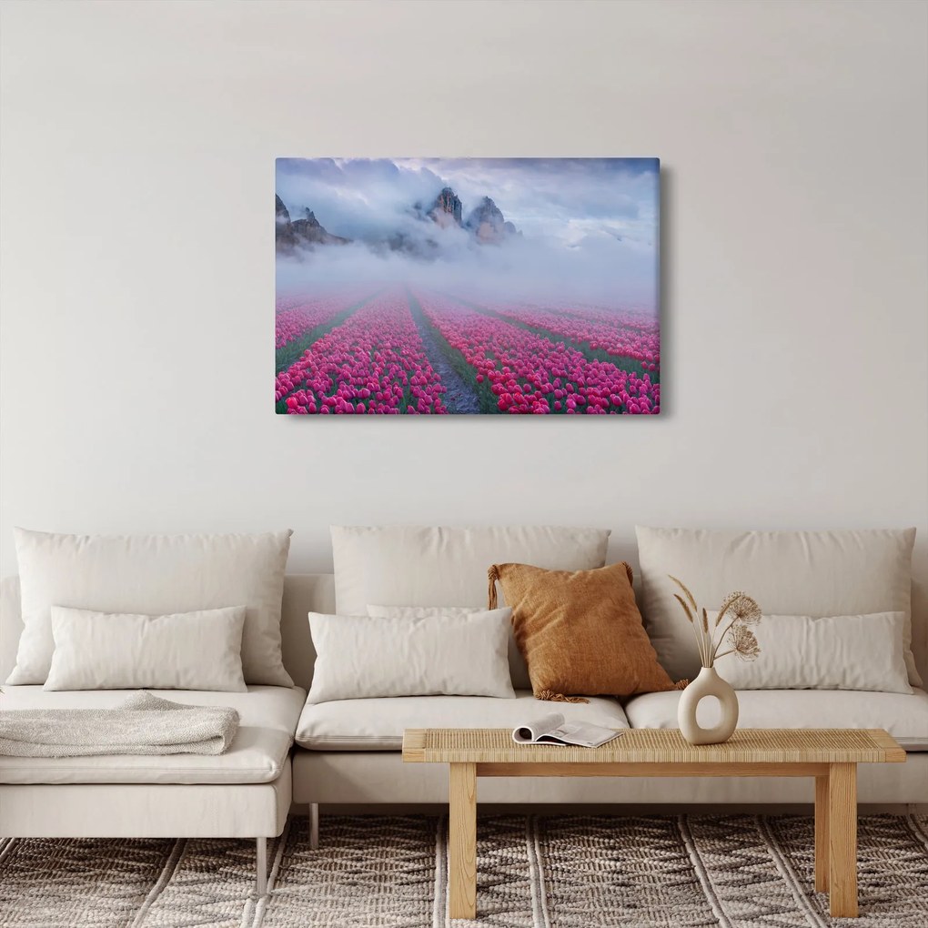 Tablou - Peisaj cu câmpuri de lalele (90x60 cm)