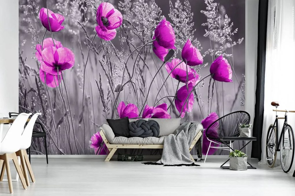 Fototapet - Mac (254x184 cm)