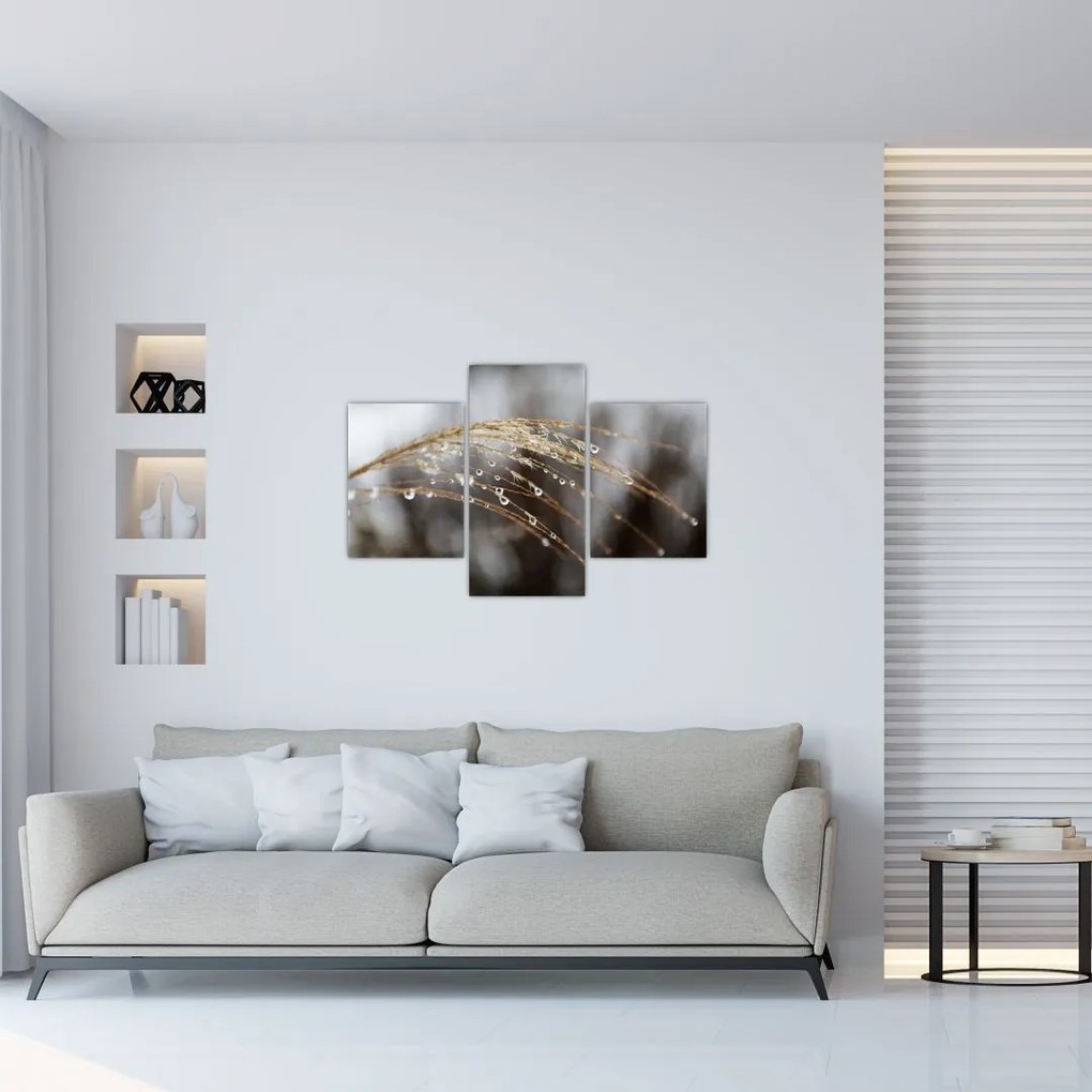 Tablou - Picături pe plantă (90x60 cm)