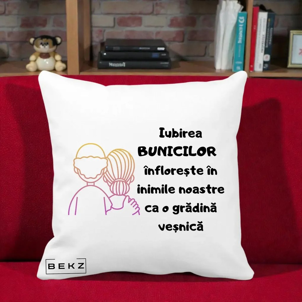 Cadou pentru Bunici - Perna Personalizata Iubirea Bunicilor Infloreste Cuplu Line Art Gradient, 40x40 cm, Alba Mata, Husa Detasabila, Perna Inclusa, BEKZ®