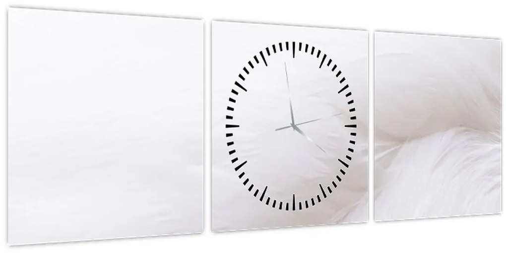 Tablou - Detalii pene (cu ceas) (90x30 cm)