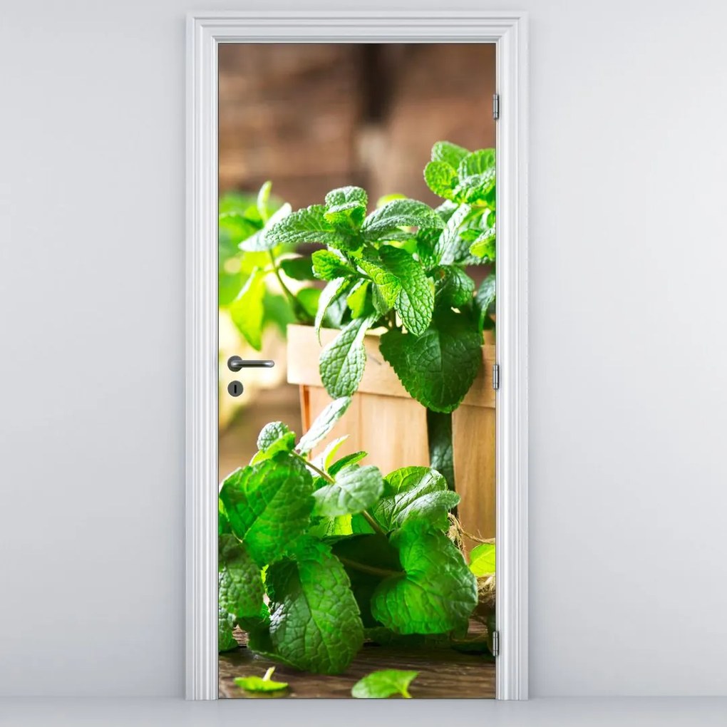 Fototapet pentru ușă - Menta proaspătă (95x205cm)
