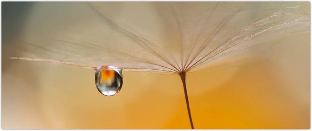 Tablou - Flori macro (120x50 cm)