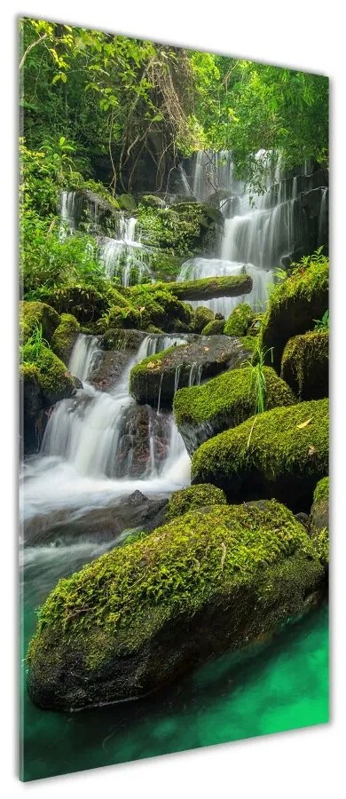 Imagine de sticlă Cascada din junglă