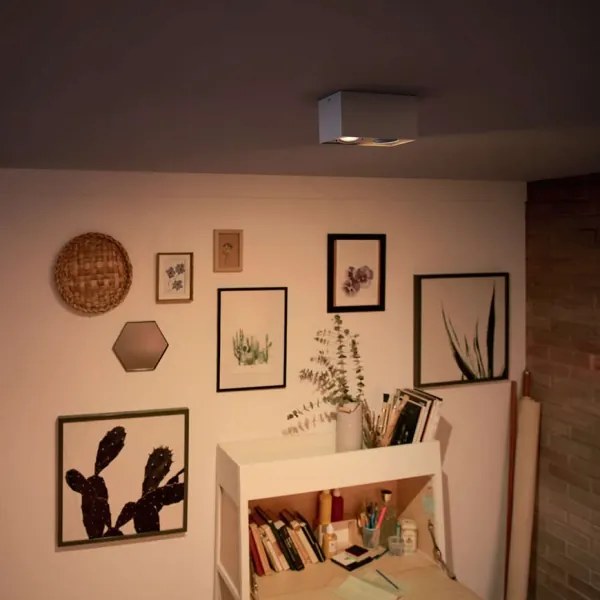 Spot LED MYLIVING BOX 2xLED/4,5W/230V Philips 50492/31/P0