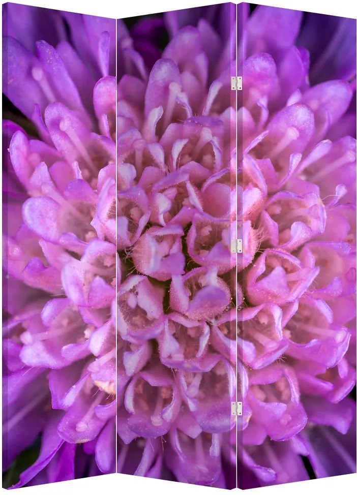 Paravan - Floare detailat (126x170 cm)