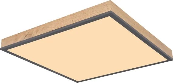 Globo 416080WD2-CCT - Plafonieră LED dimabilă DORO 24W/230V 3000-6500K 45x45 cm