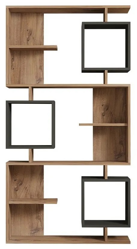 Biblioteca Icardi Anthracite and Atlantic Pine
