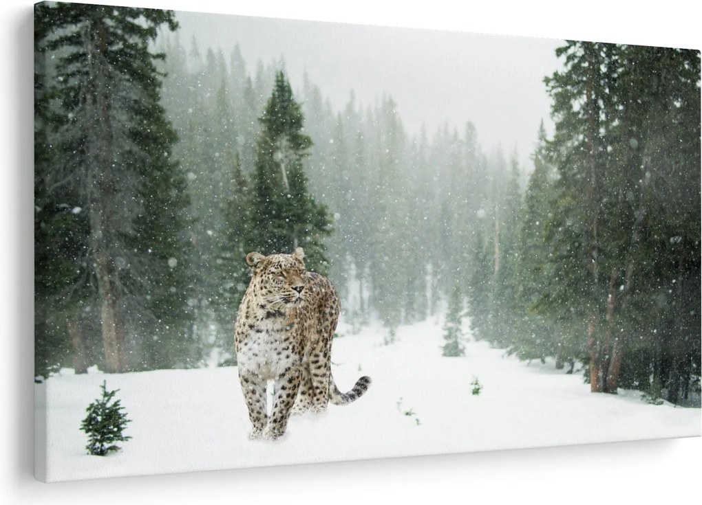 Tablou cu leopard în zăpadă (90x60 cm)