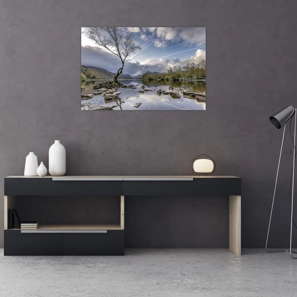 Tablou cu râu și copac (90x60 cm)