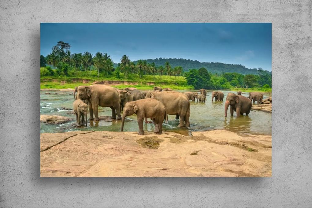 Tapet Premium Canvas - Grup de elefanti la lac