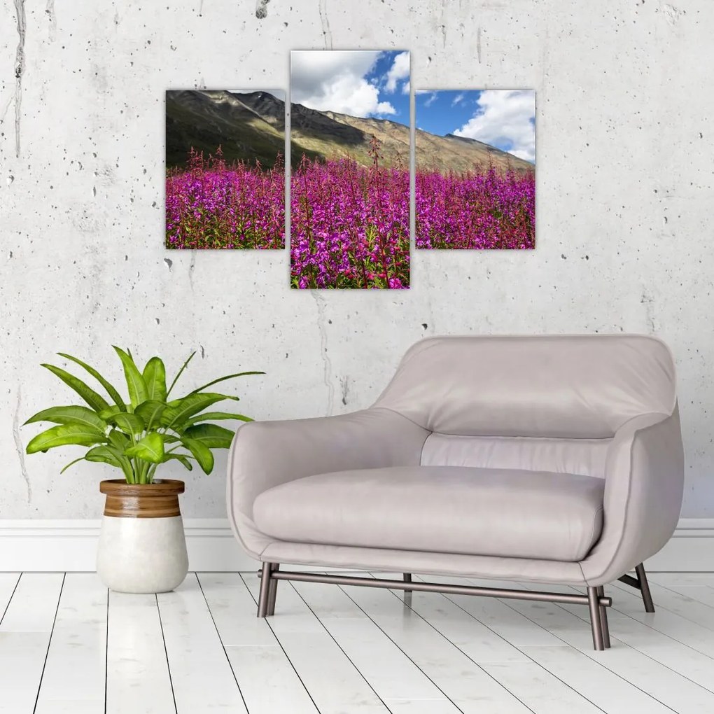 Tablou sceneriei cu lunca montană (90x60 cm)