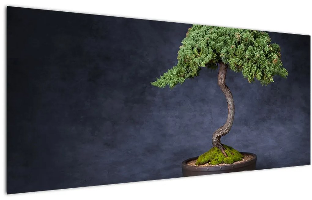 Tablou - Bonsai (120x50 cm)