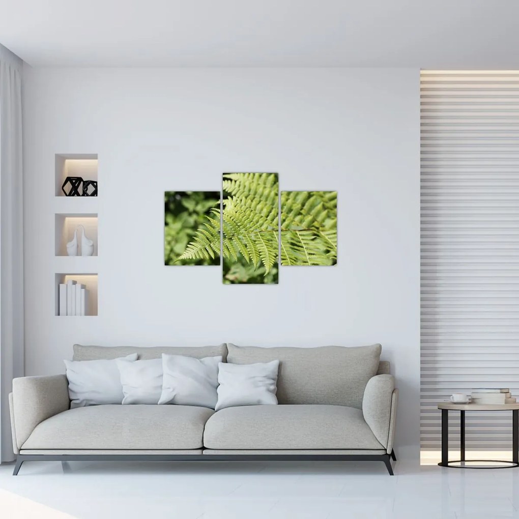 Tablou - Frunză de ferigă (90x60 cm)