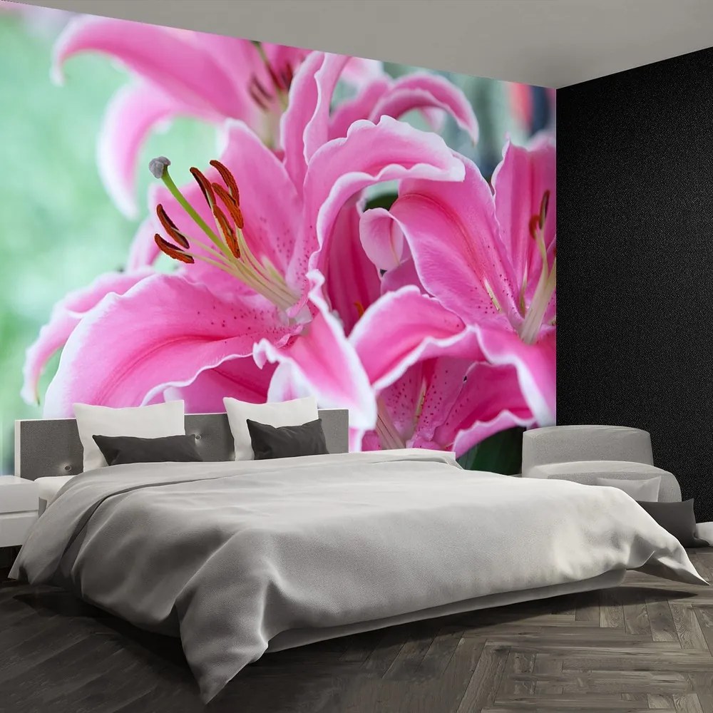 Fototapet Pink Lily