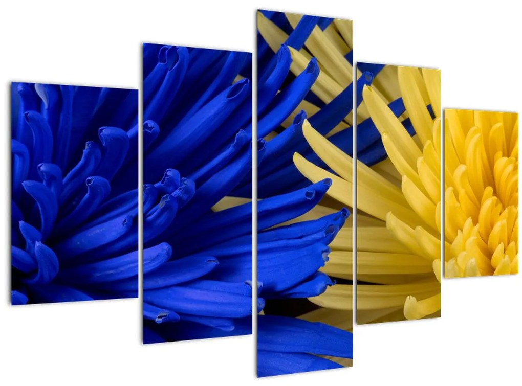 Tablou - detaliu florilor (150x105 cm)