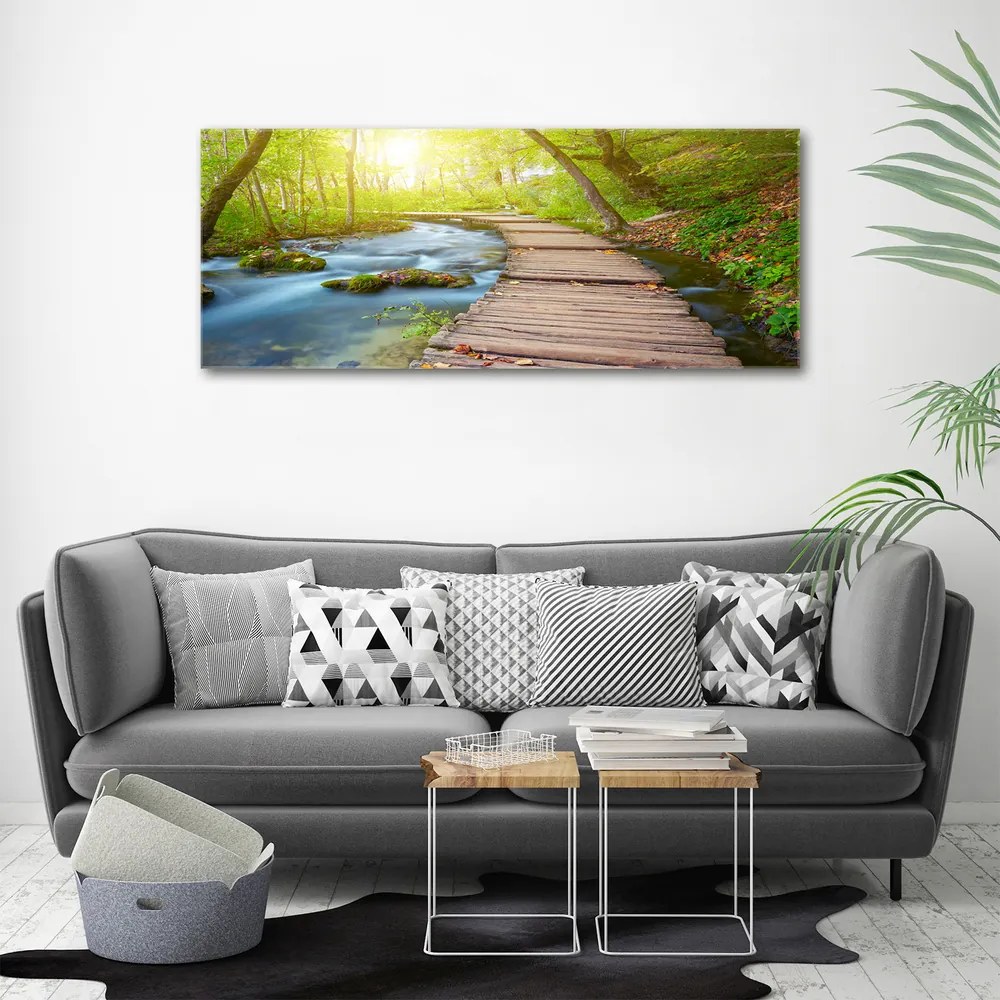 Tablou canvas Calea în pădure