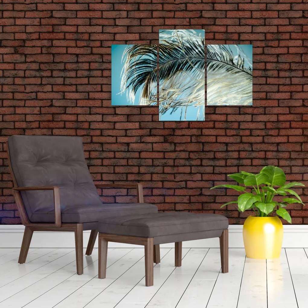 Tablou cu pană (90x60 cm)