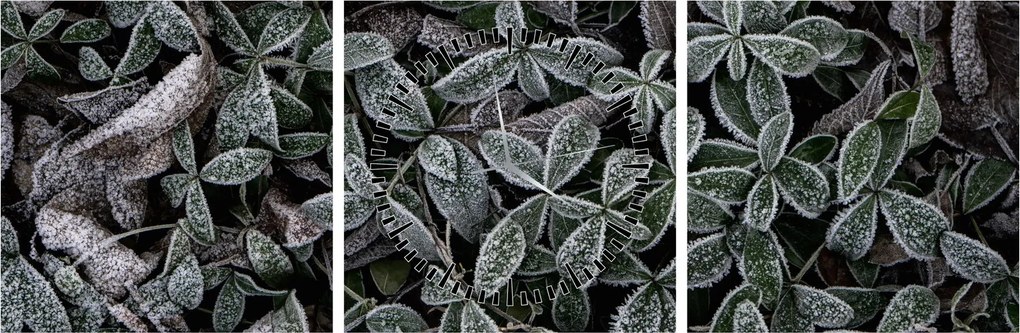 Tablou - Plante înghețate (cu ceas) (90x30 cm)