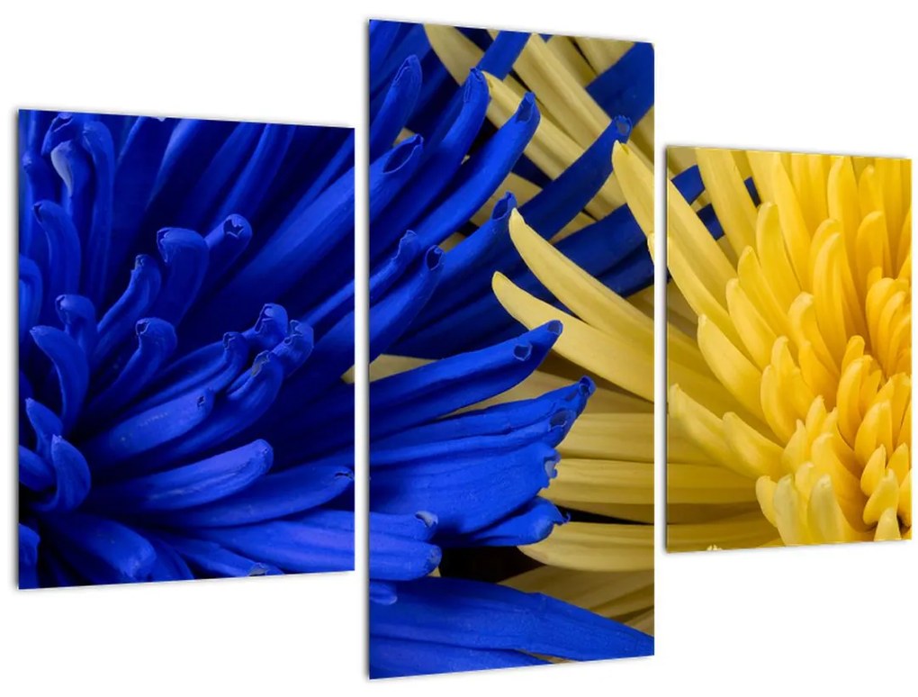 Tablou - detaliu florilor (90x60 cm)