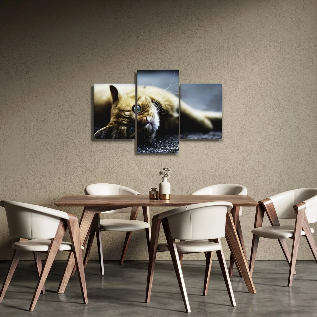 Tablou cu pisica (90x60 cm)