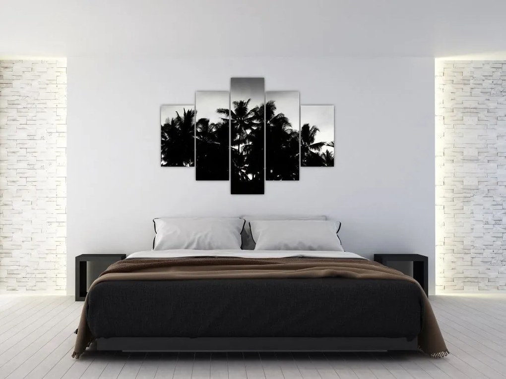 Tablou alb negru - palmieri (150x105 cm)