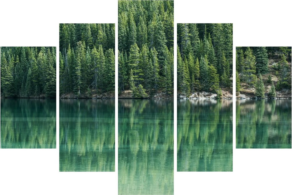 Tablou - Coniferi lângă lac (150x105 cm)