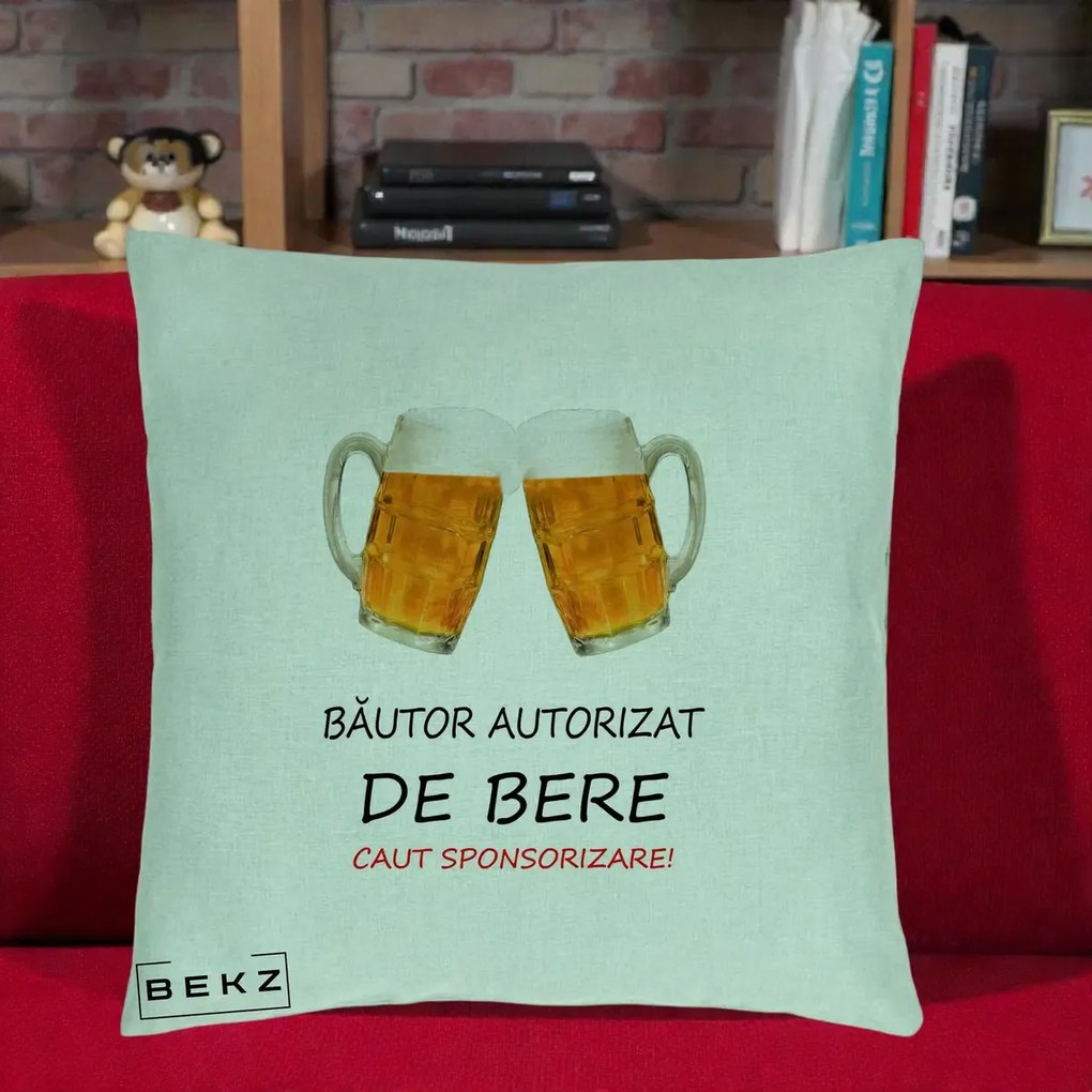Perna Decorativa Bautor Autorizat de Bere, 40x40 cm, Verde Menta, Husa Detasabila, Perna Inclusa, BEKZ®