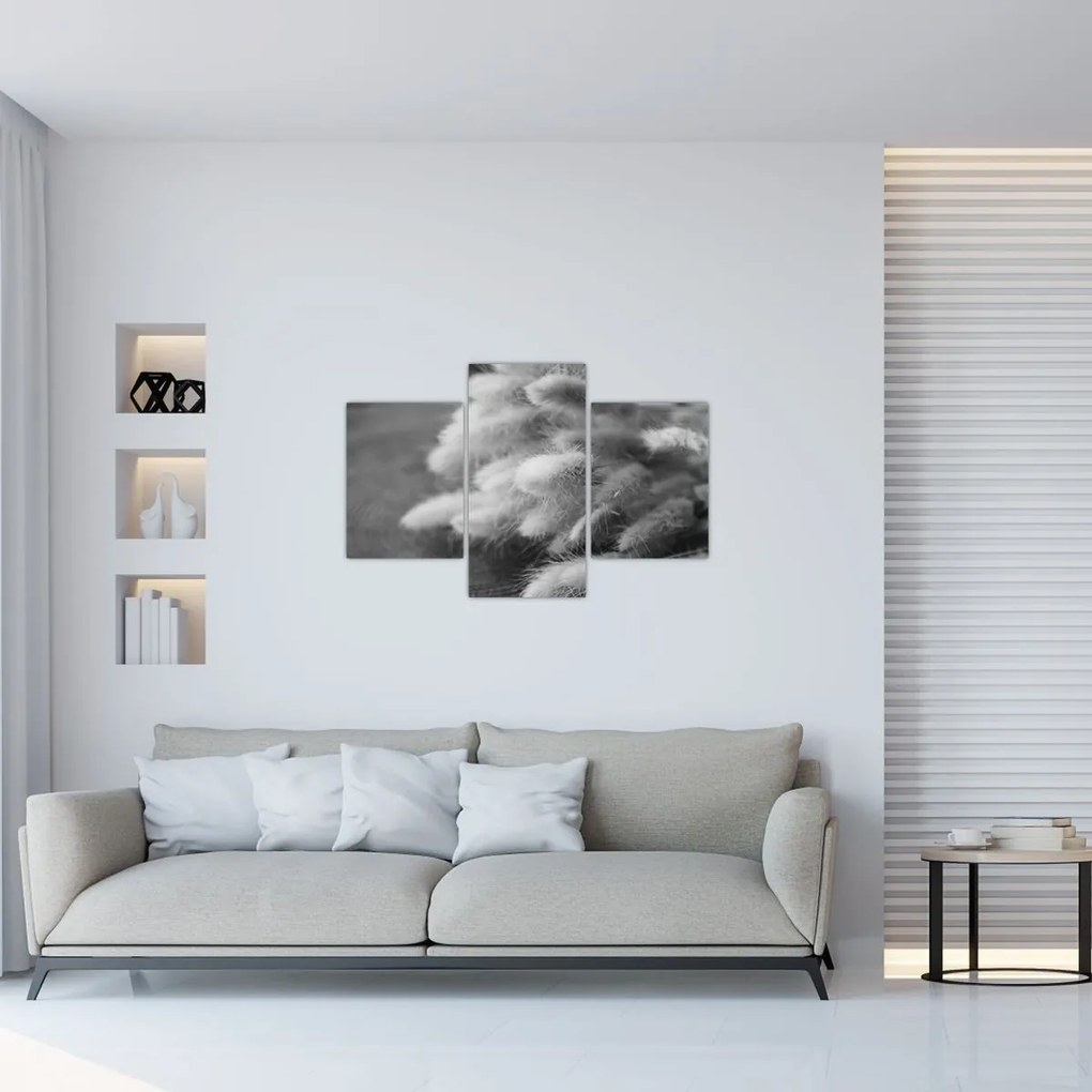 Tablou - iarbă de coadă de iepure pe masă (90x60 cm)