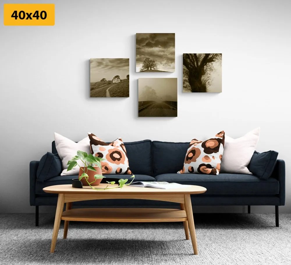 Set tablouri natura misterioasă în design sepia