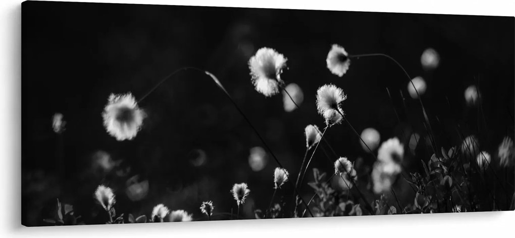 Tablou - Pajiște cu iarbă de cozonac N⁰1 (120x50 cm)
