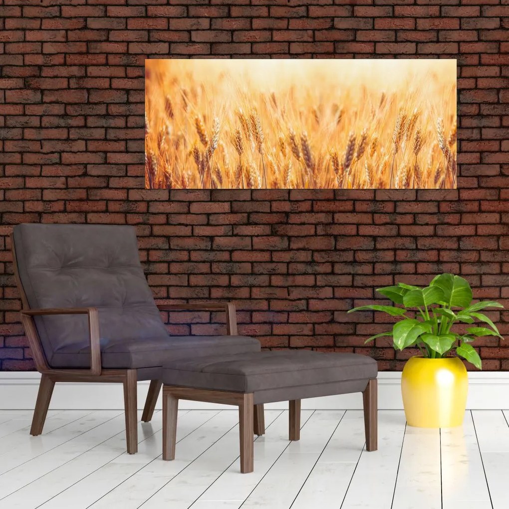 Tablou - câmp cu grâne (120x50 cm)