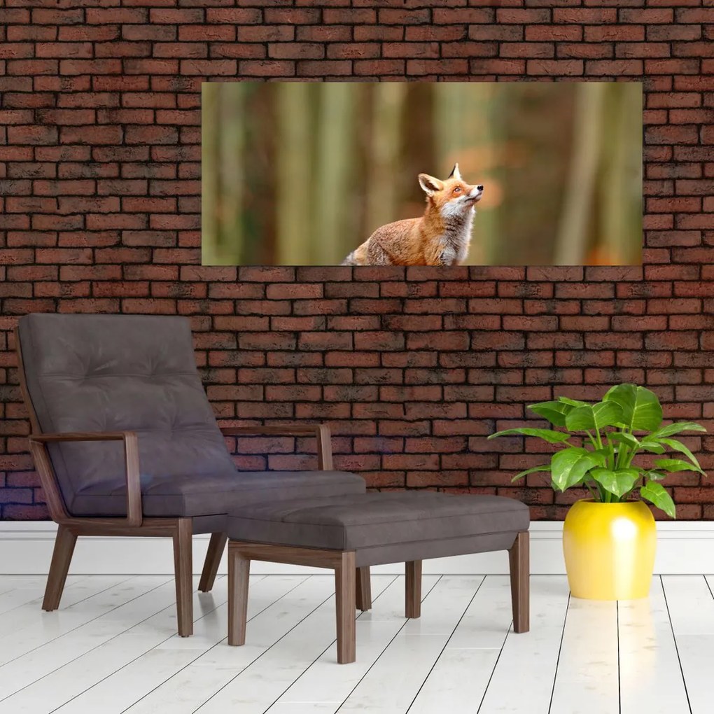 Tablou - Vulpe (120x50 cm)