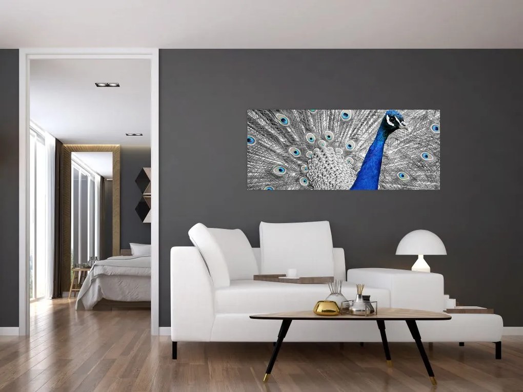 Tablou - păun albastru (120x50 cm)