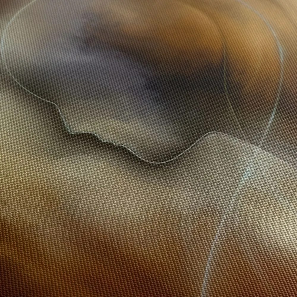 Tablou siluetă abstractă în ceață