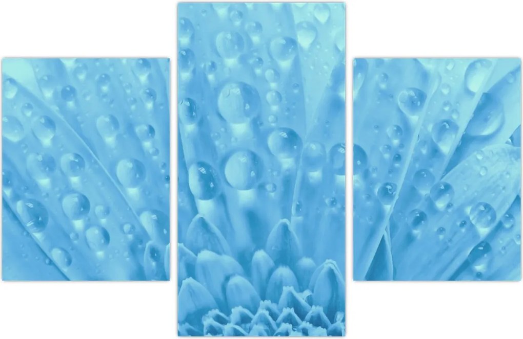 Tablou - Macro împușcat de o floare (90x60 cm)