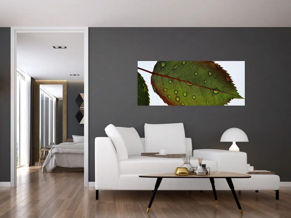 Tablou - Frunze de trandafir (120x50 cm)