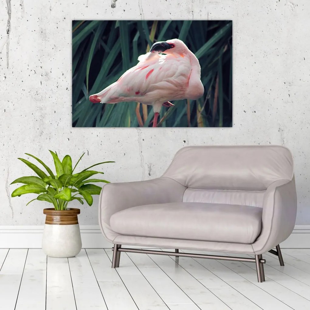 Tablou - Pasărea Flamengo (90x60 cm)