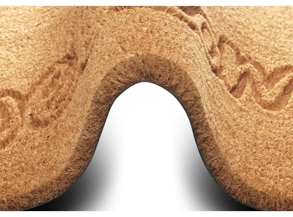 Covoraș de intrare din fibre de cocos 75x45 cm Welcome - Hanse Home