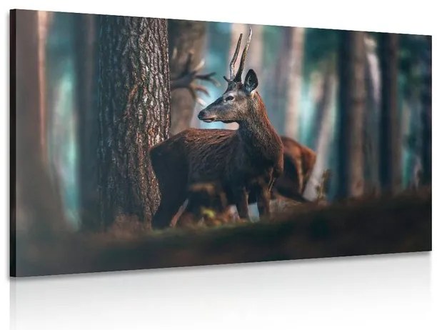 Tablou cerb în pădure de pini